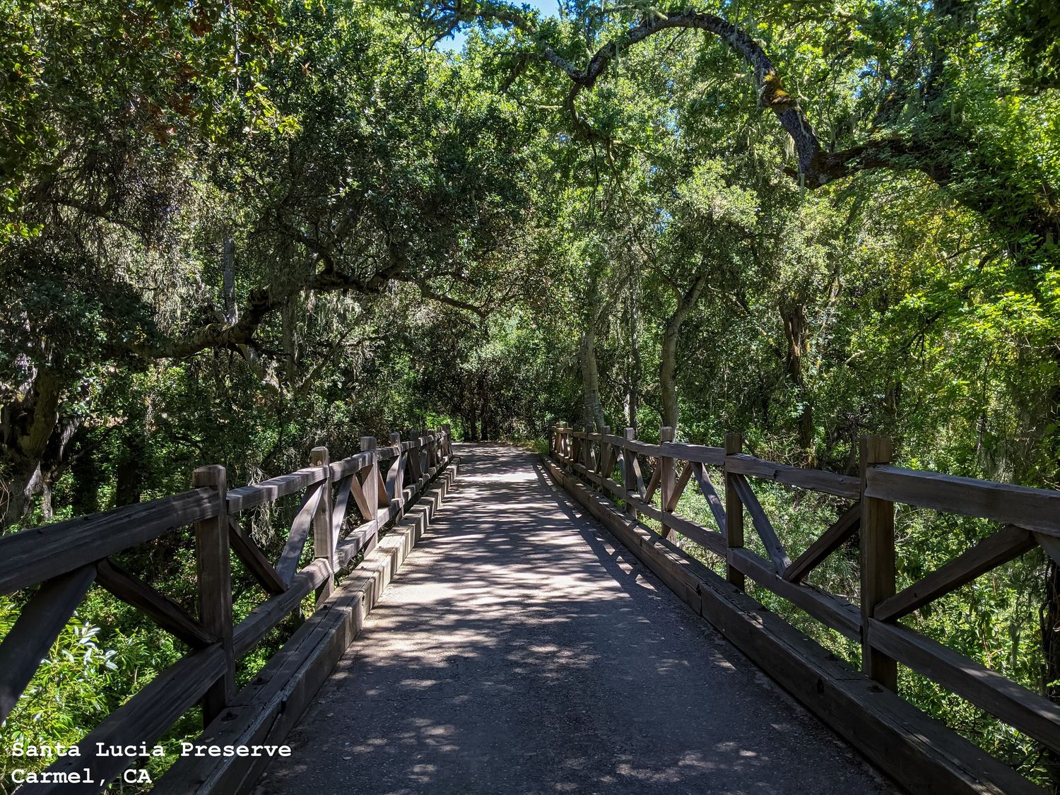 Bridge at the Santa Lucia Preserve, Carmel, CA
