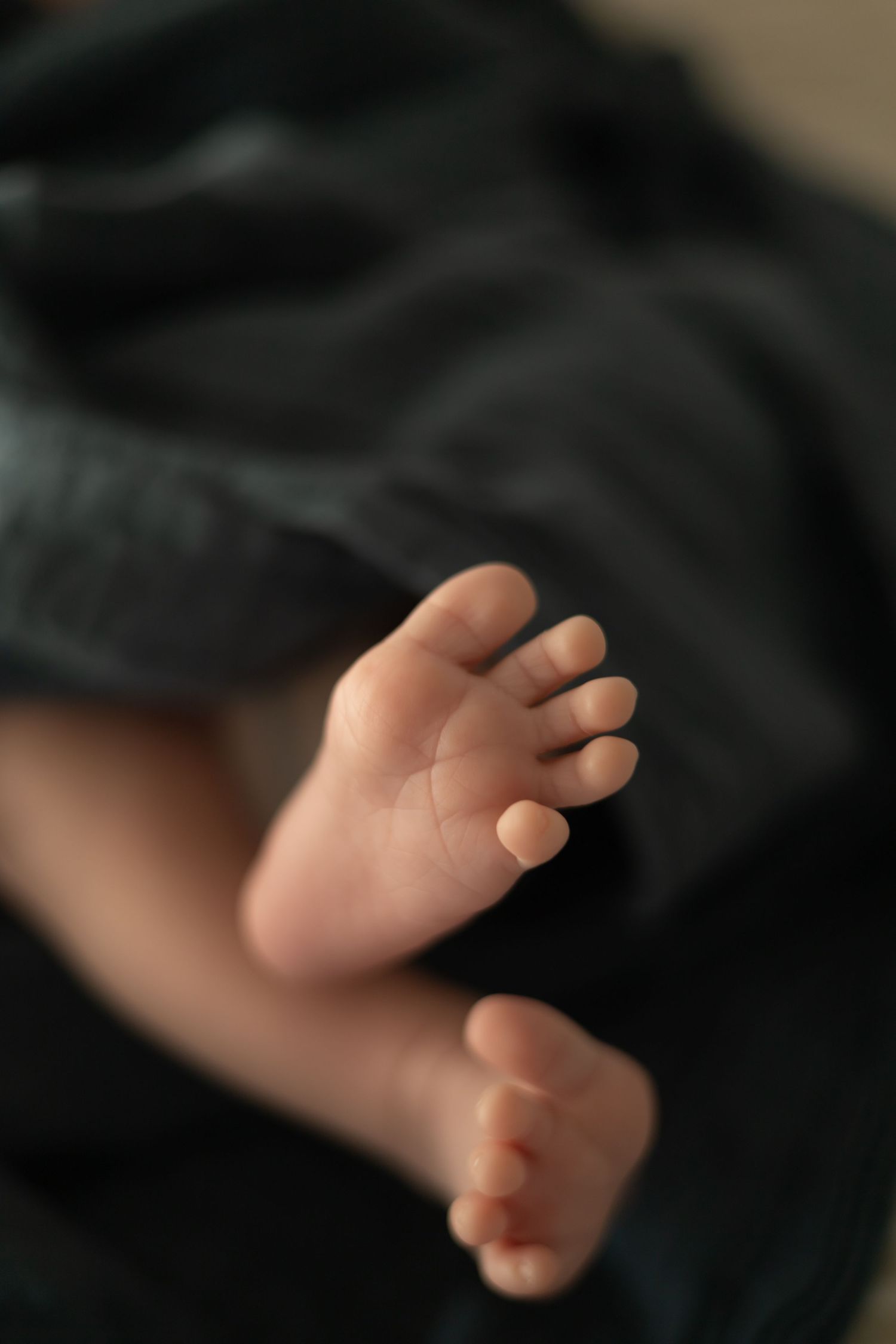 Close-up of tiny baby feet against dark fabric with shallow depth of field.