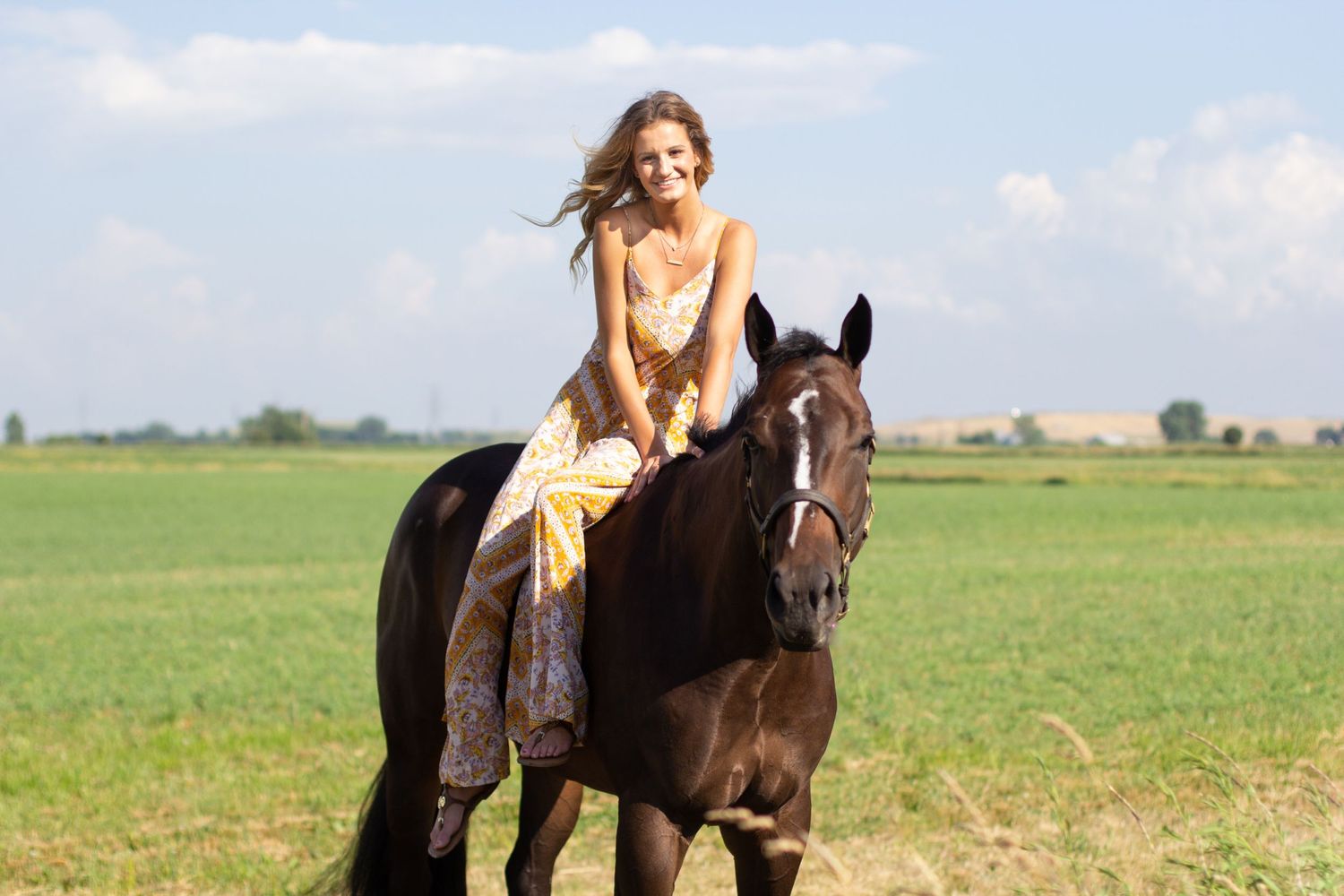 Winter Performance Horses
