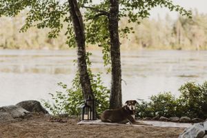 Elopement in East Lake near Middleton in the Annapolis Valley, Nova Scotia