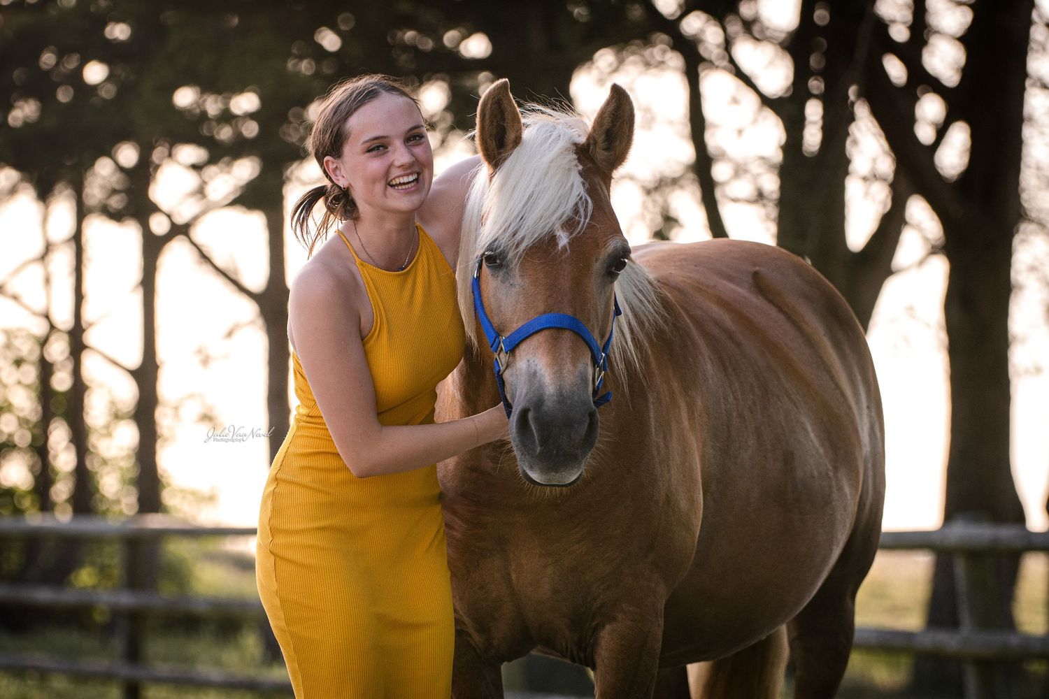 Cheval et sa cavalière