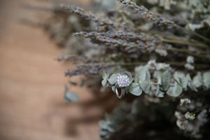 Delicate dried flowers and foliage in soft focus against a wooden background.