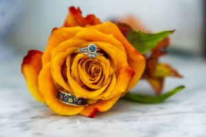 Orange rose with engagement rings nestled in its petals, macro photography.