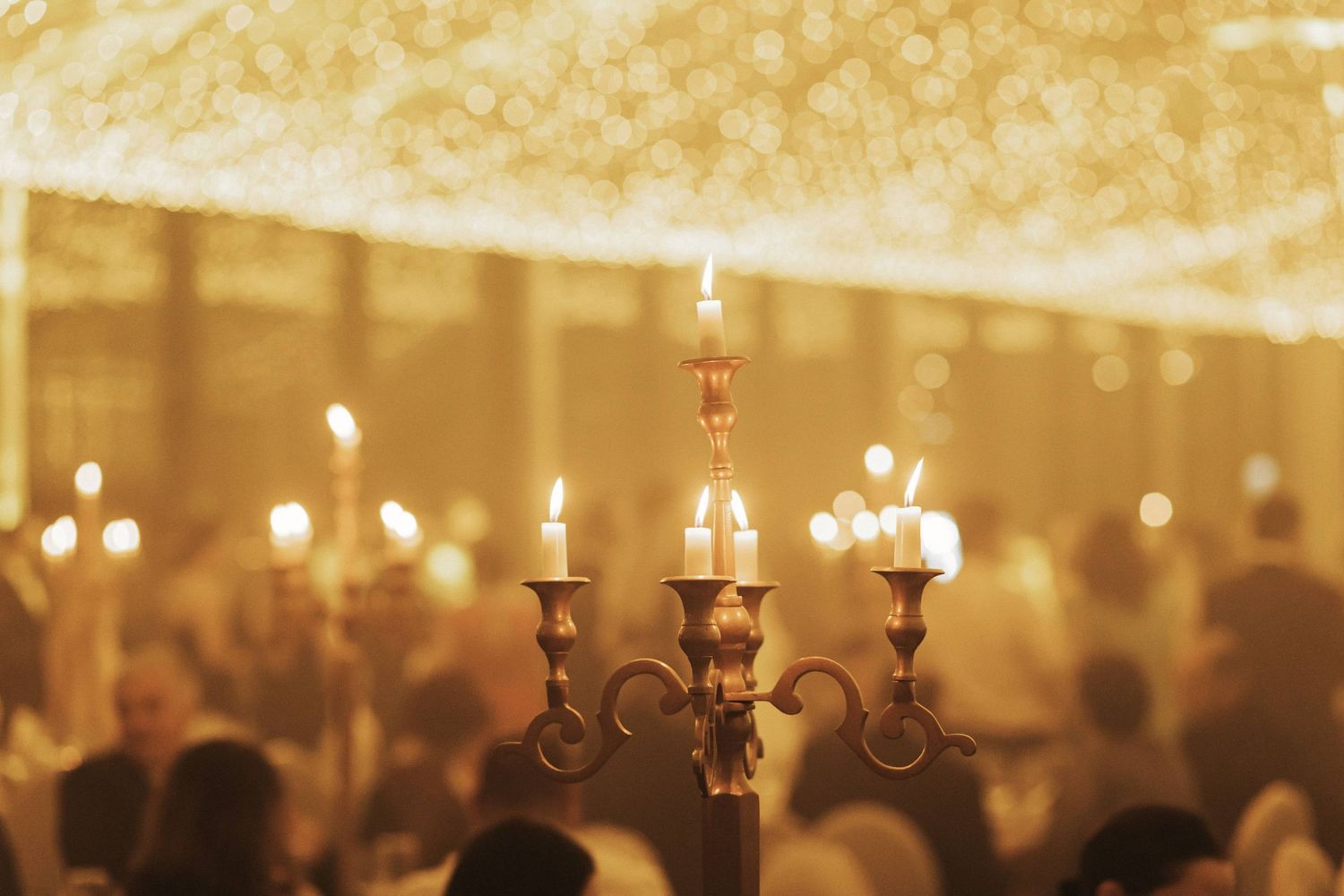 nunta-bucuresti-wedding-bucharest-bokaa-buftea-elefterie