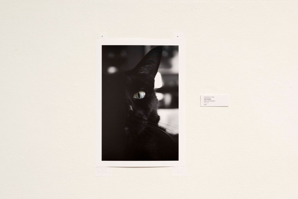 Series of black and white photographs spaced evenly on a pristine white museum wall.