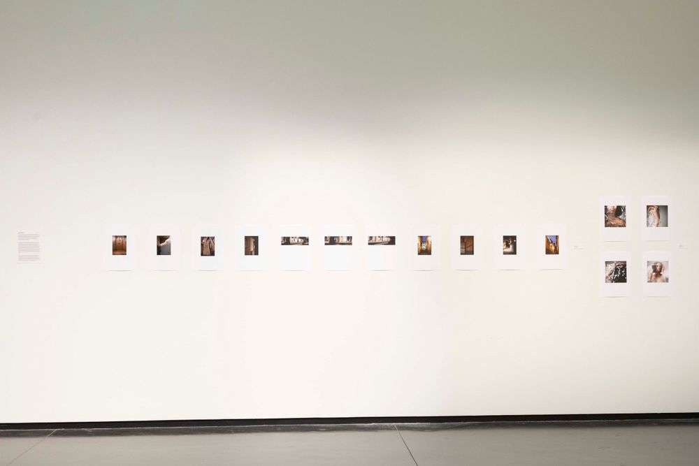 Long horizontal display of small photographs arranged in a single line on white gallery wall.