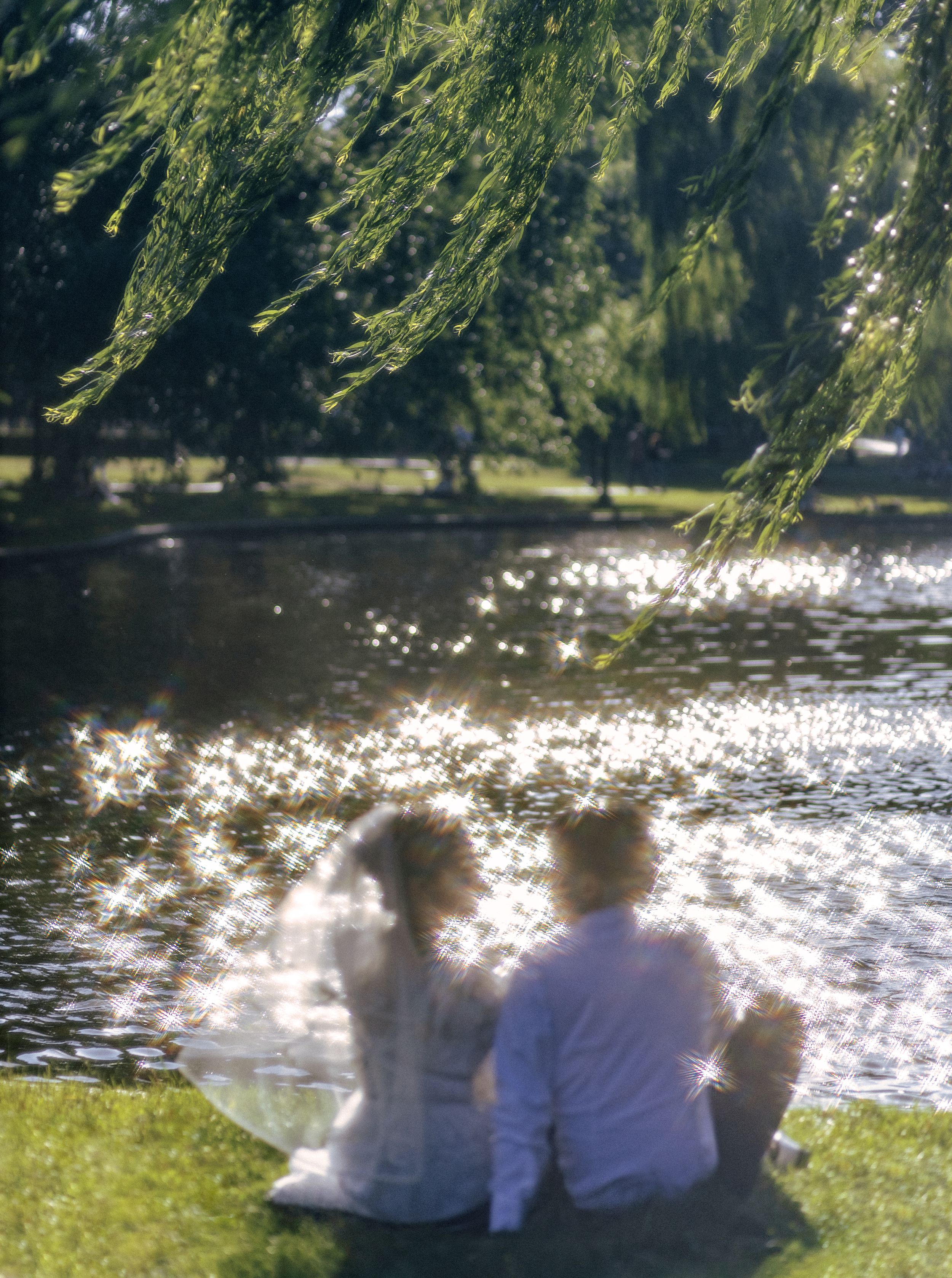 Three people sit peacefully by a sunlit lake under weeping willow branches.
