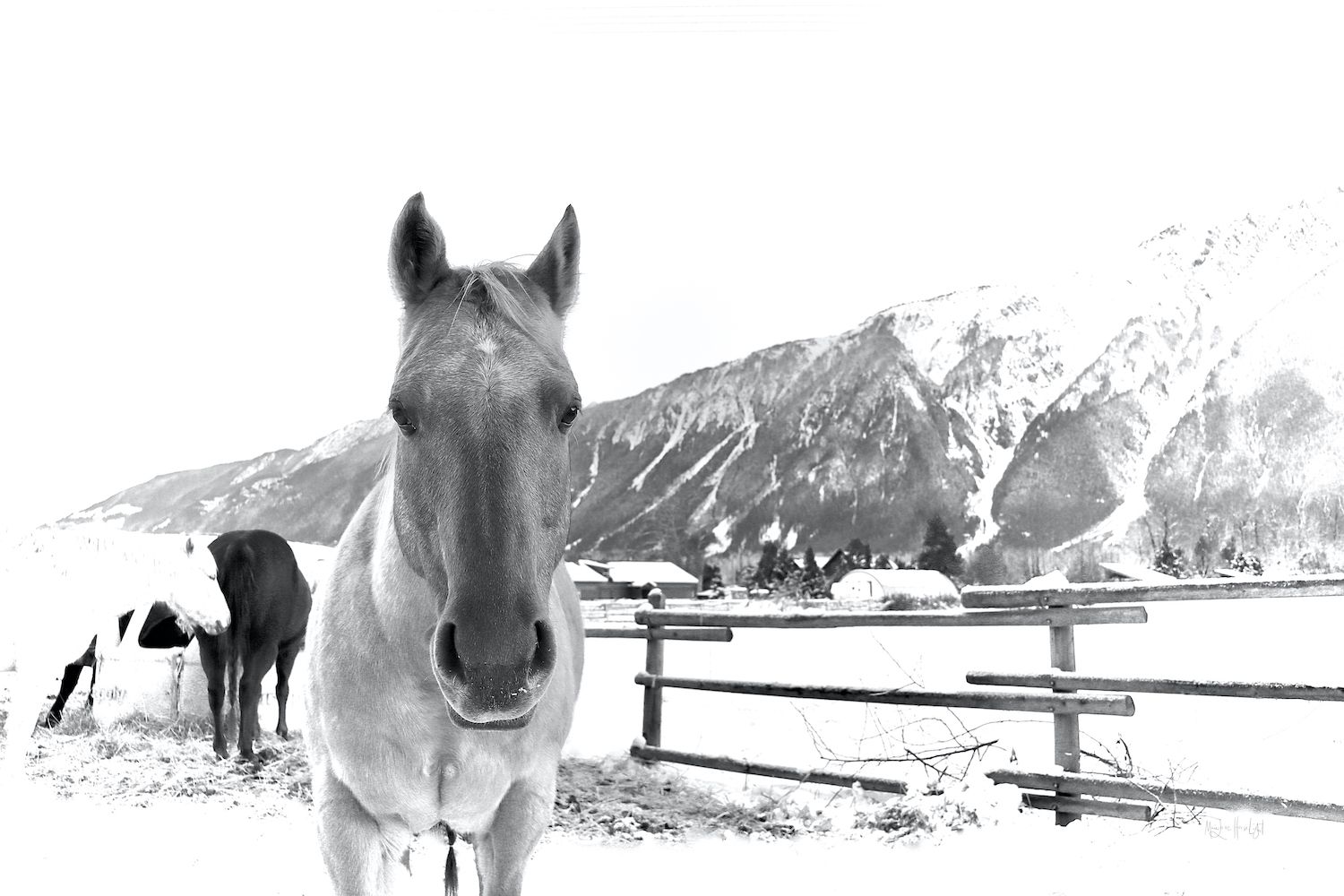 Photo and Art Shop Online