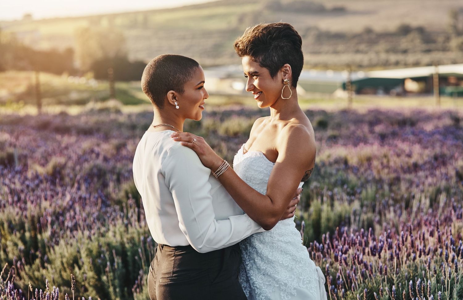 Romantic couple poses in a blooming purple lavender field at sunset.