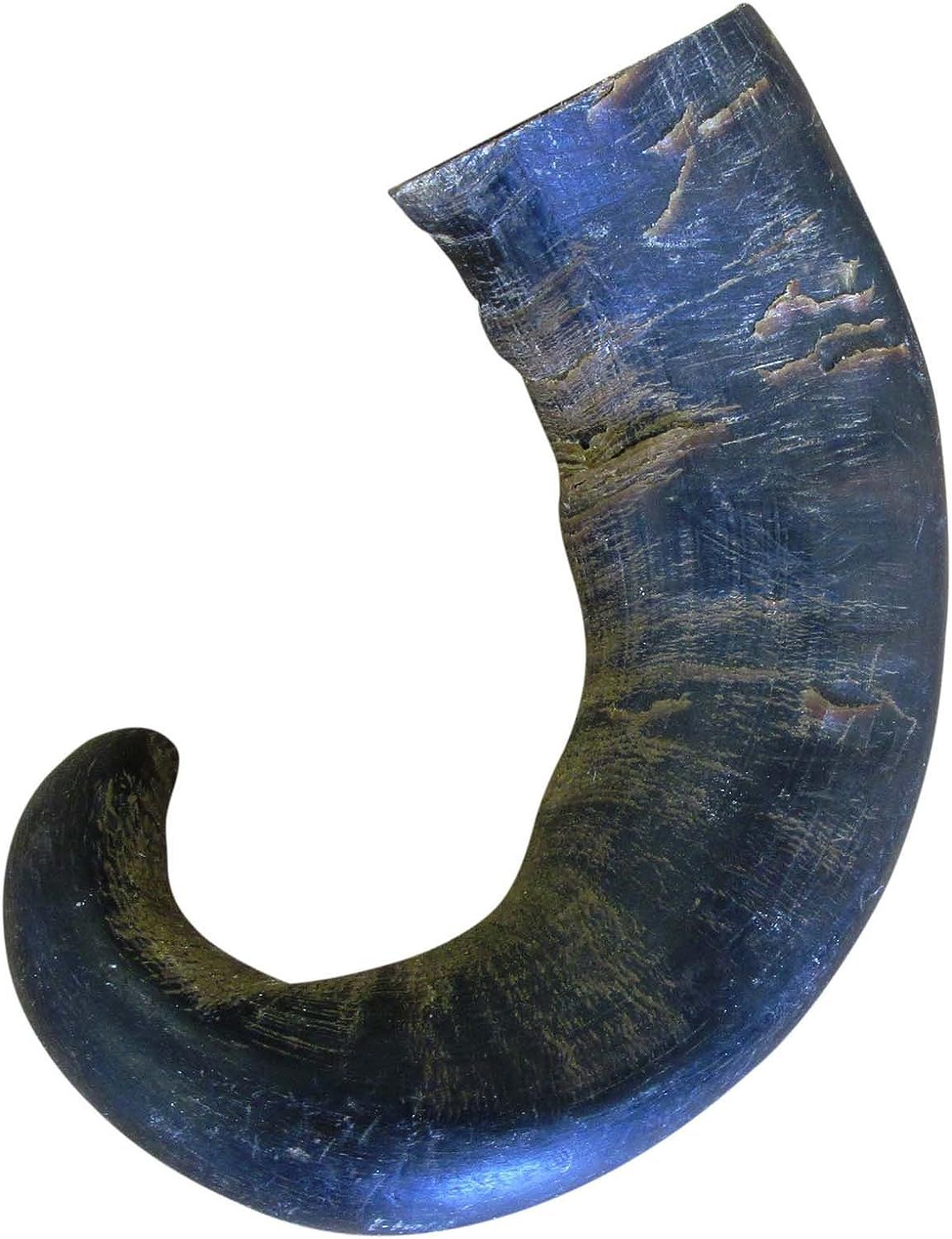 Bone