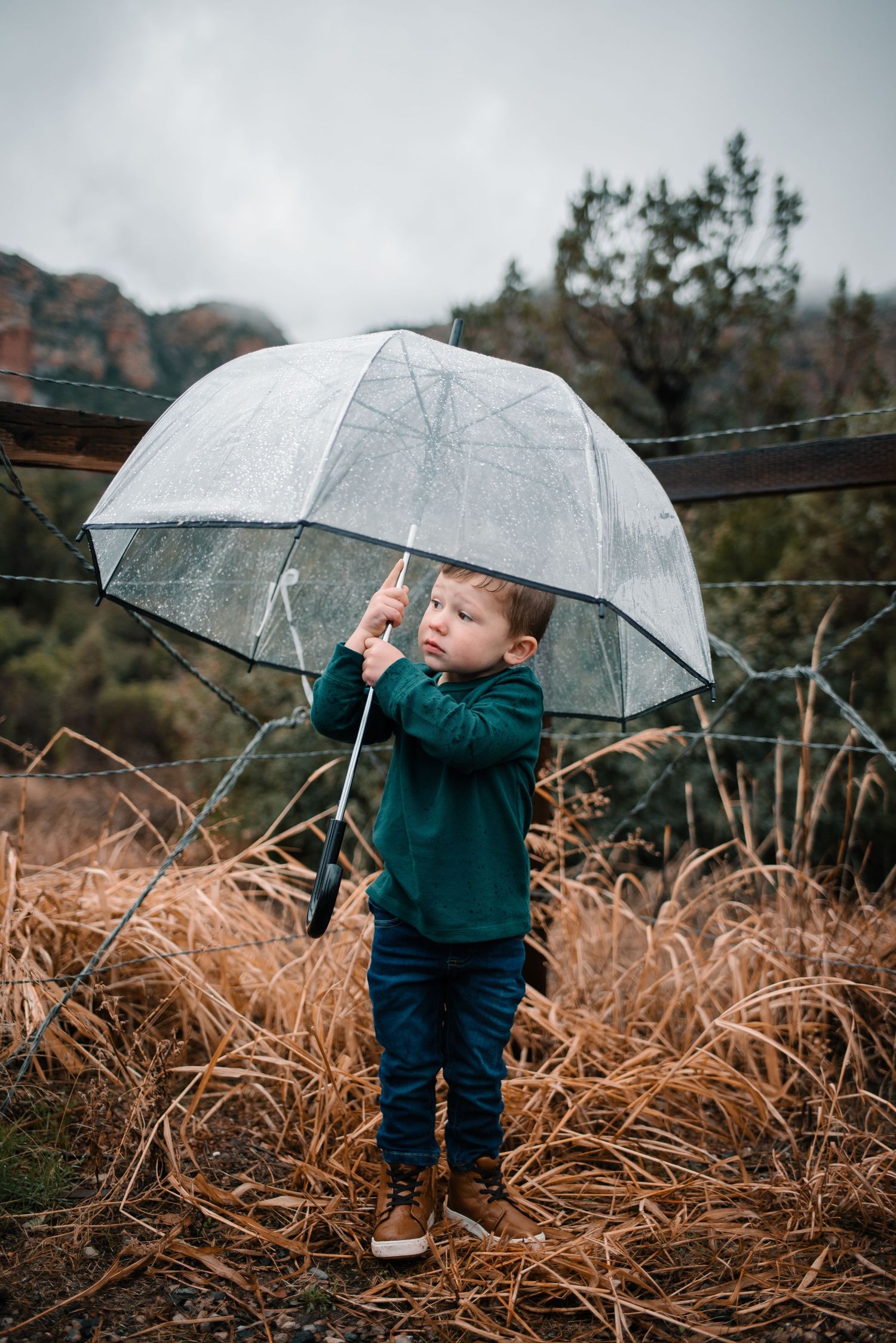 A young child in a teal sweater holds a clear umbrella in a desert landscape.