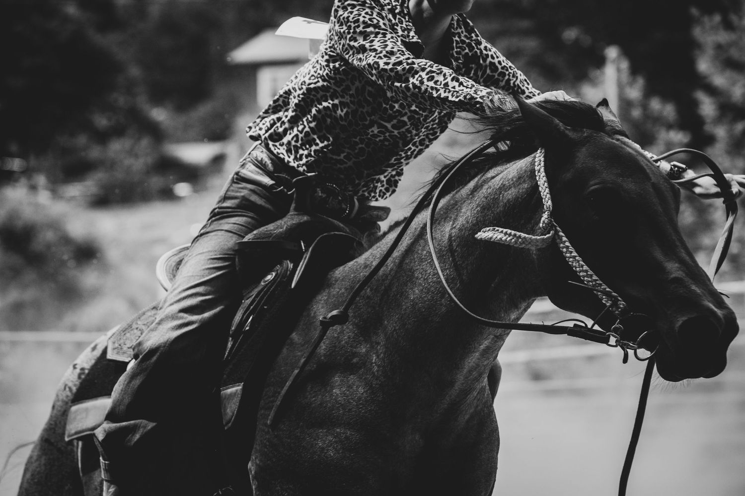 NC Equine Photographer Western Lifestyle Branding and marketing for small business. Branding and marketing