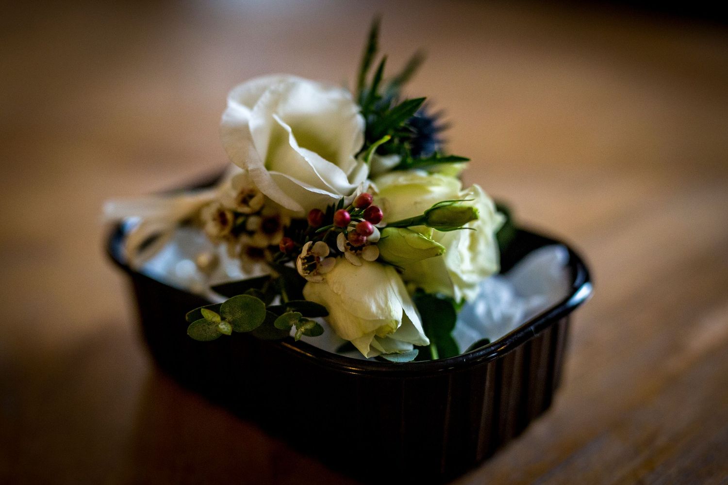 Elegant plated appetizers with fresh herbs and garnishes.