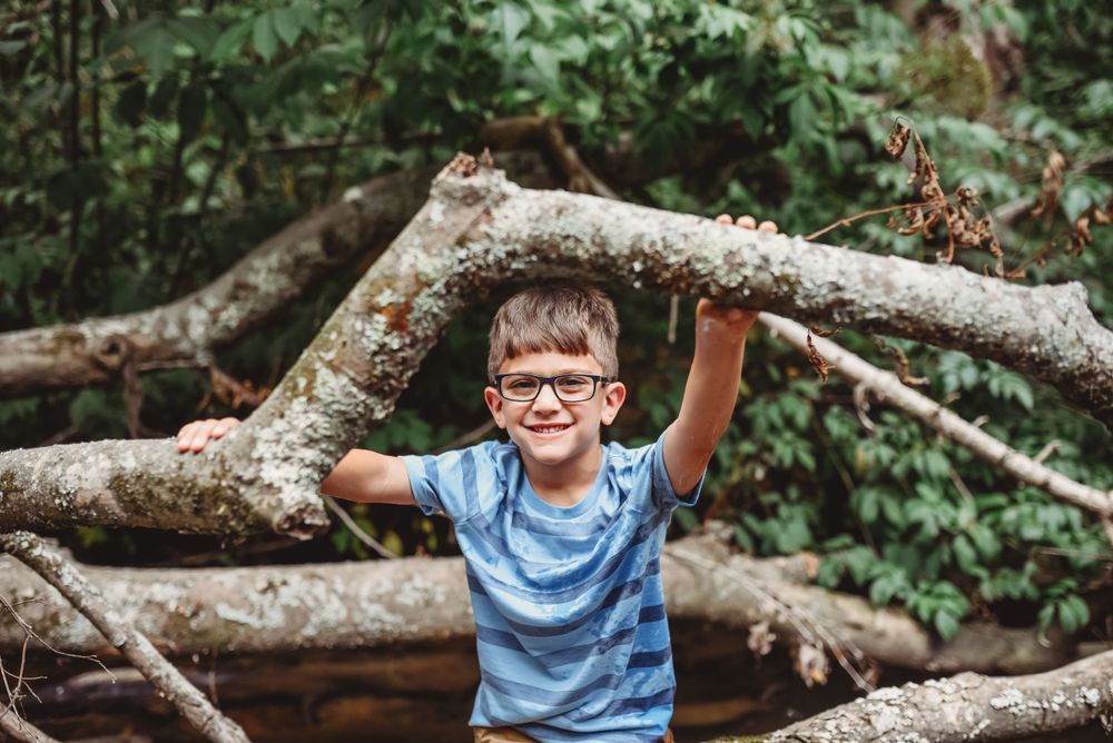 Child climbing and playing on fallen tree logs in wooded area.