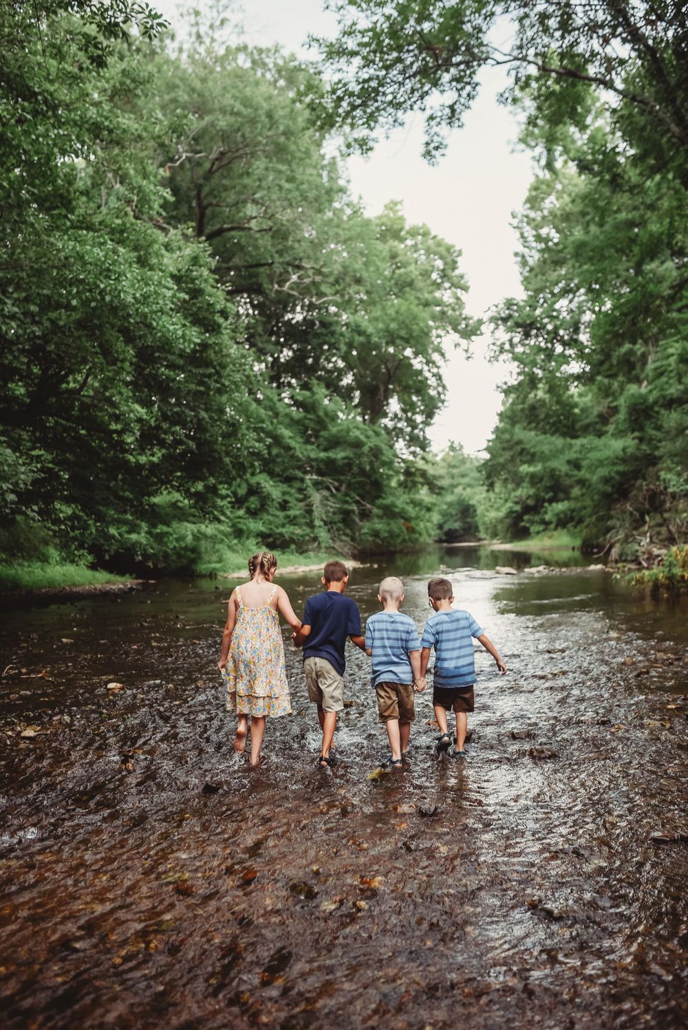 Children walking together through a shallow creek surrounded by lush green trees on a summer day.