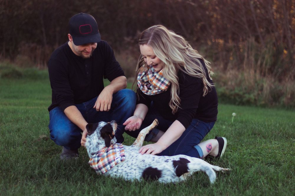 A playful moment with a couple petting their spotted dog on grass during sunset.