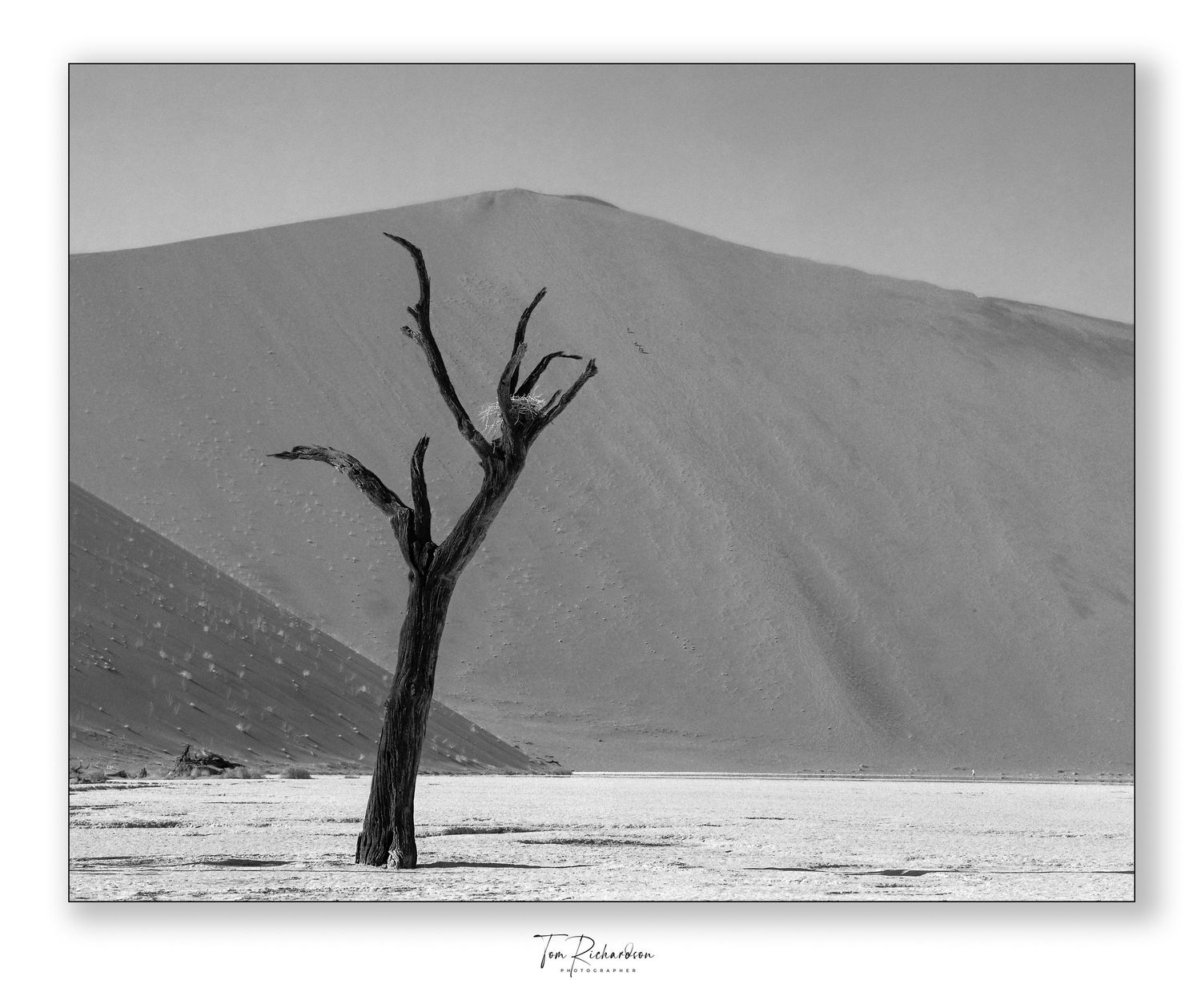The Nest, Dead Vlei Namibia
