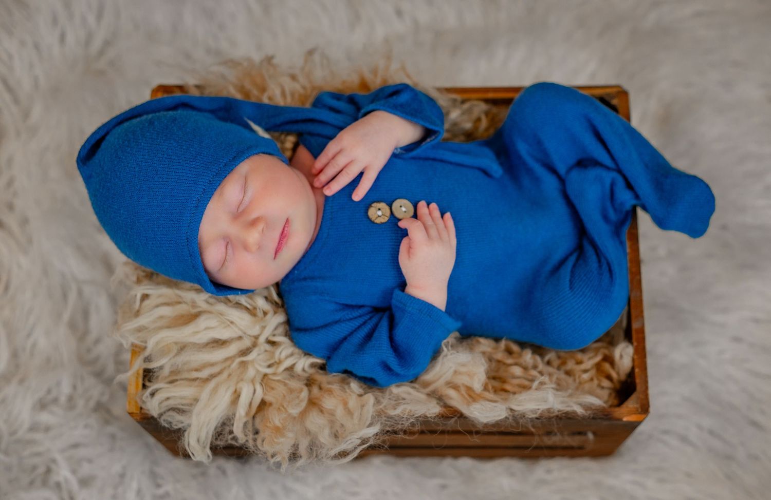 Newborn posed in a basket