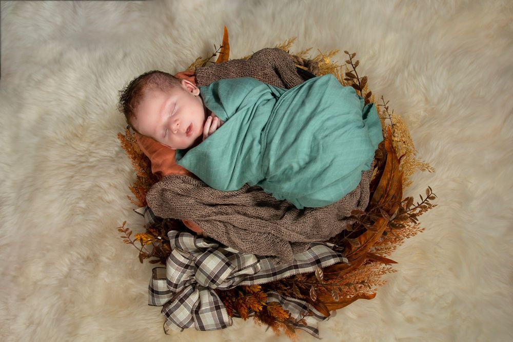 Newborn photographer Toledo, Maumee, Whitehouse, Waterville, NWO