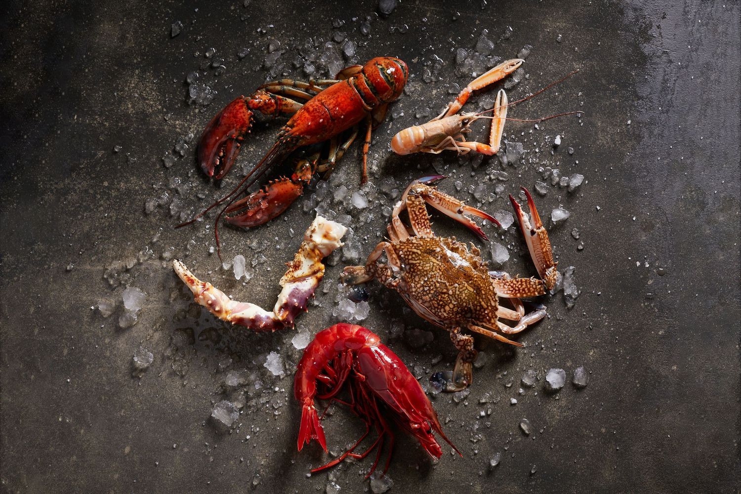 Raw Seafood Assortment - Menu Shoot