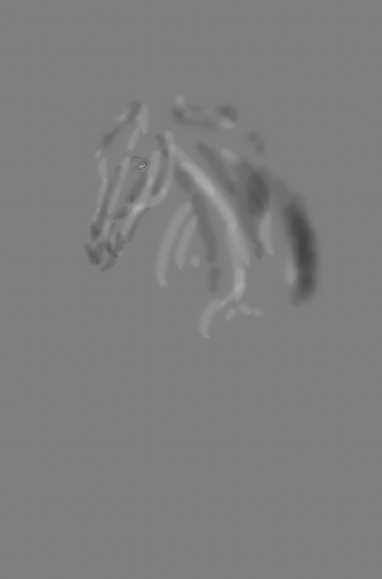 Grey sketched outline of a horse head against neutral background.