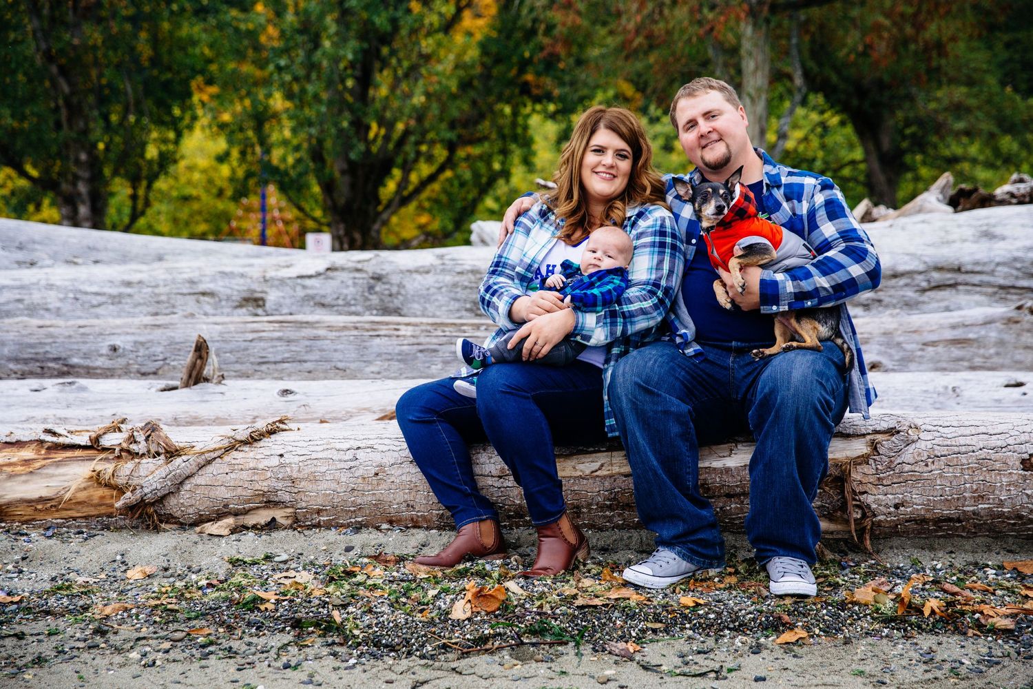 Young family sitting on driftwood at the beach with a dog and a baby