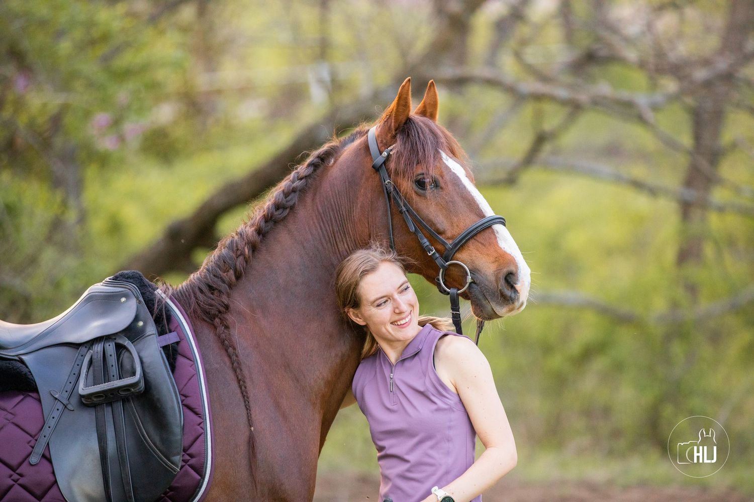 Brown horse with saddle and bridle standing in front of spring foliage.