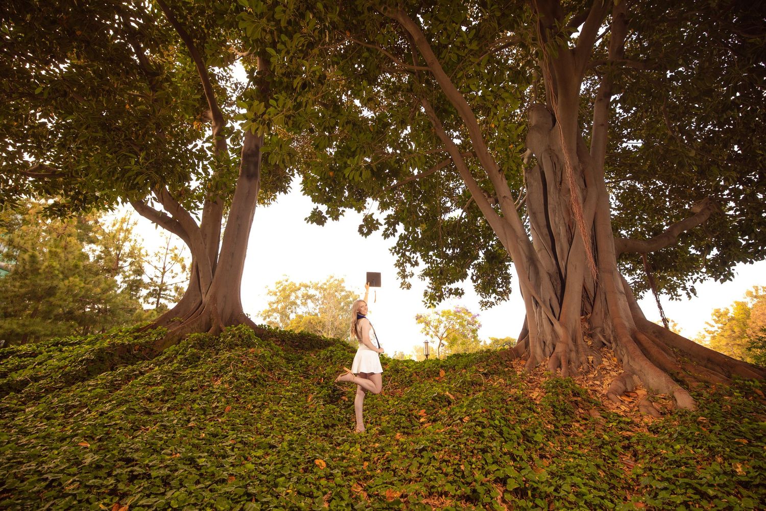 A silhouette stands on a grassy hill beneath large trees at sunset.