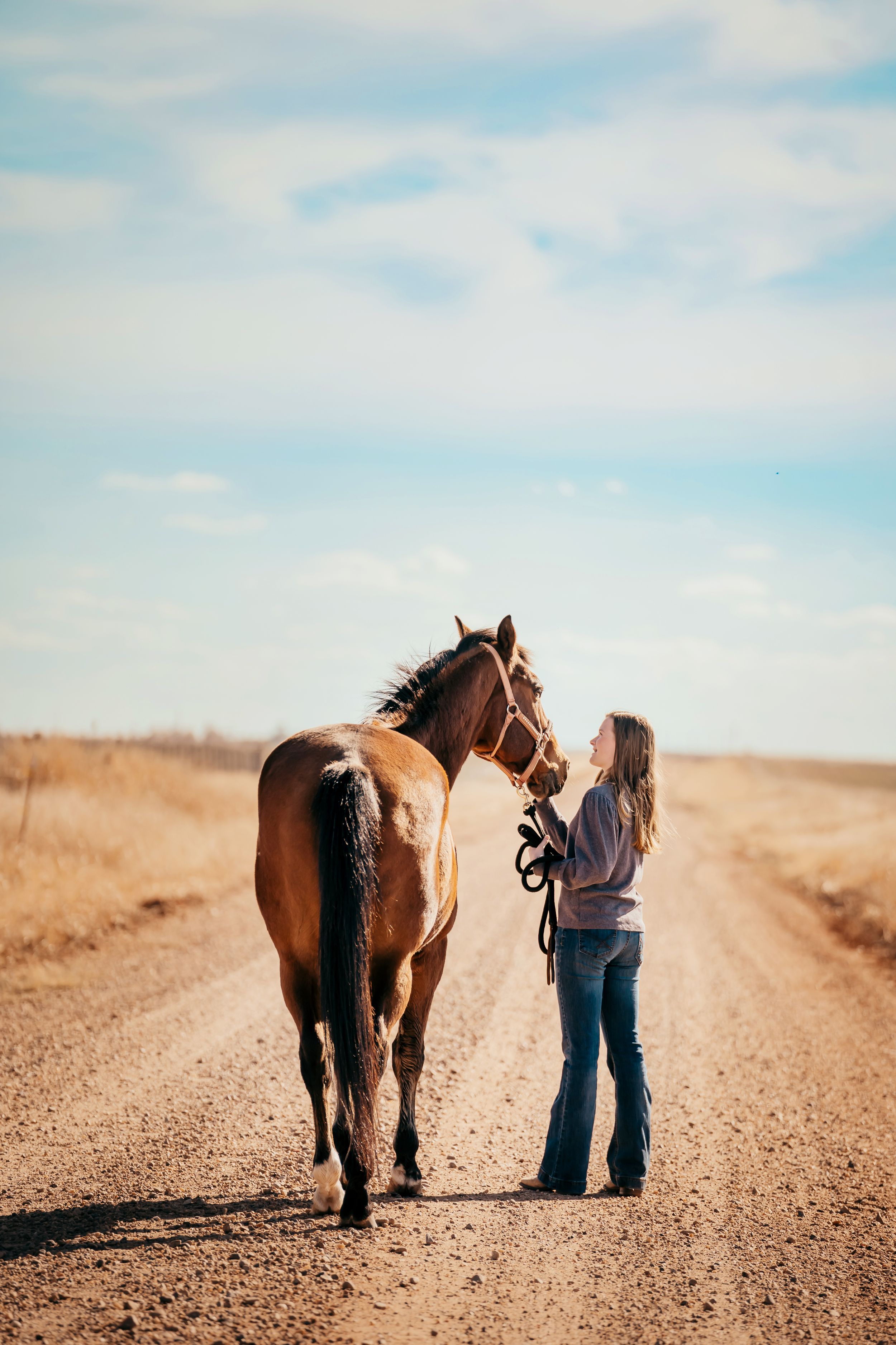 Altus Oklahoma horse family photoshoot session pet animal portrait eye, beautiful skies, open field, Lawton, Country Road OK