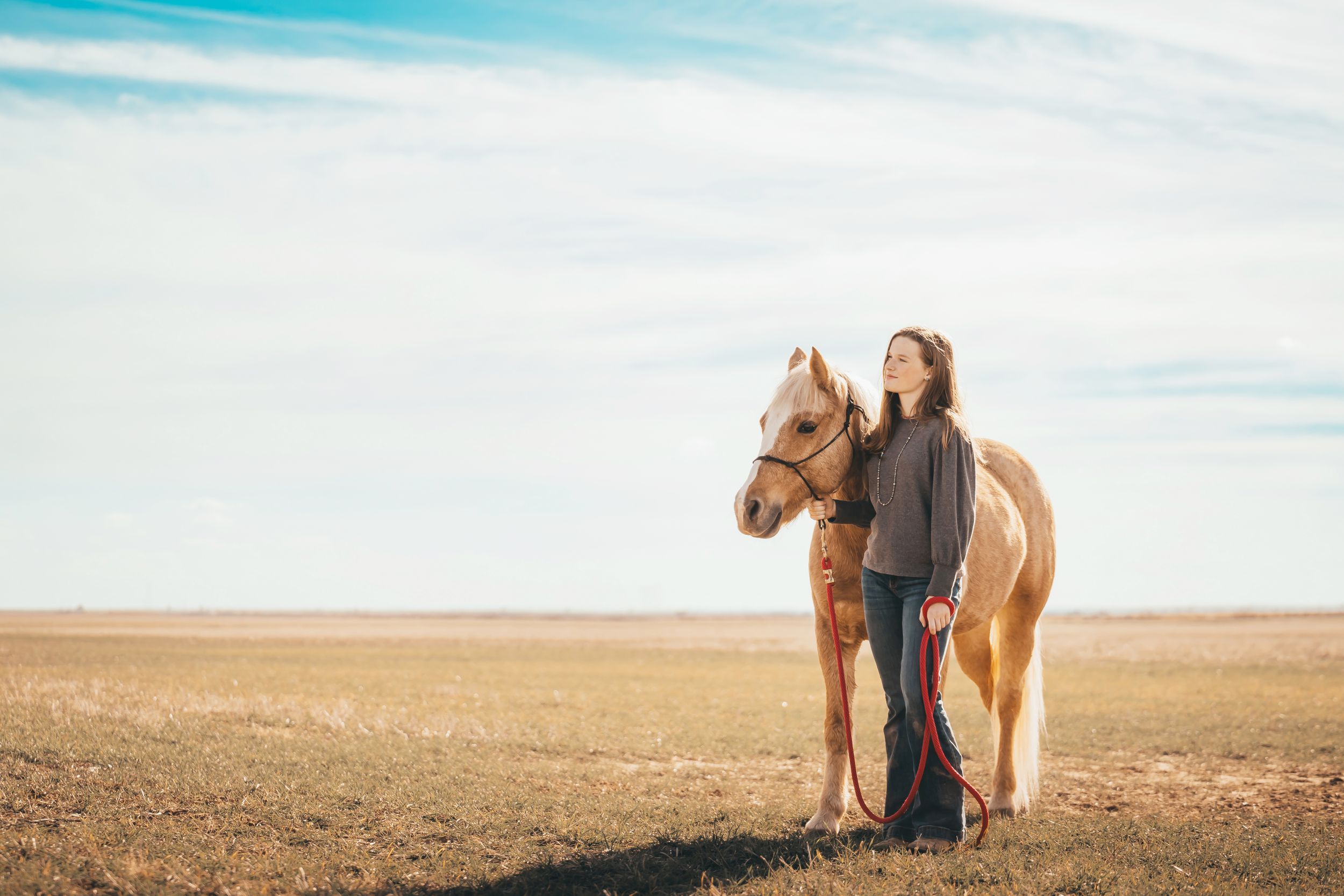 Altus Oklahoma horse family photoshoot session pet animal portrait eye, beautiful skies, open field, Lawton, Country Road OK