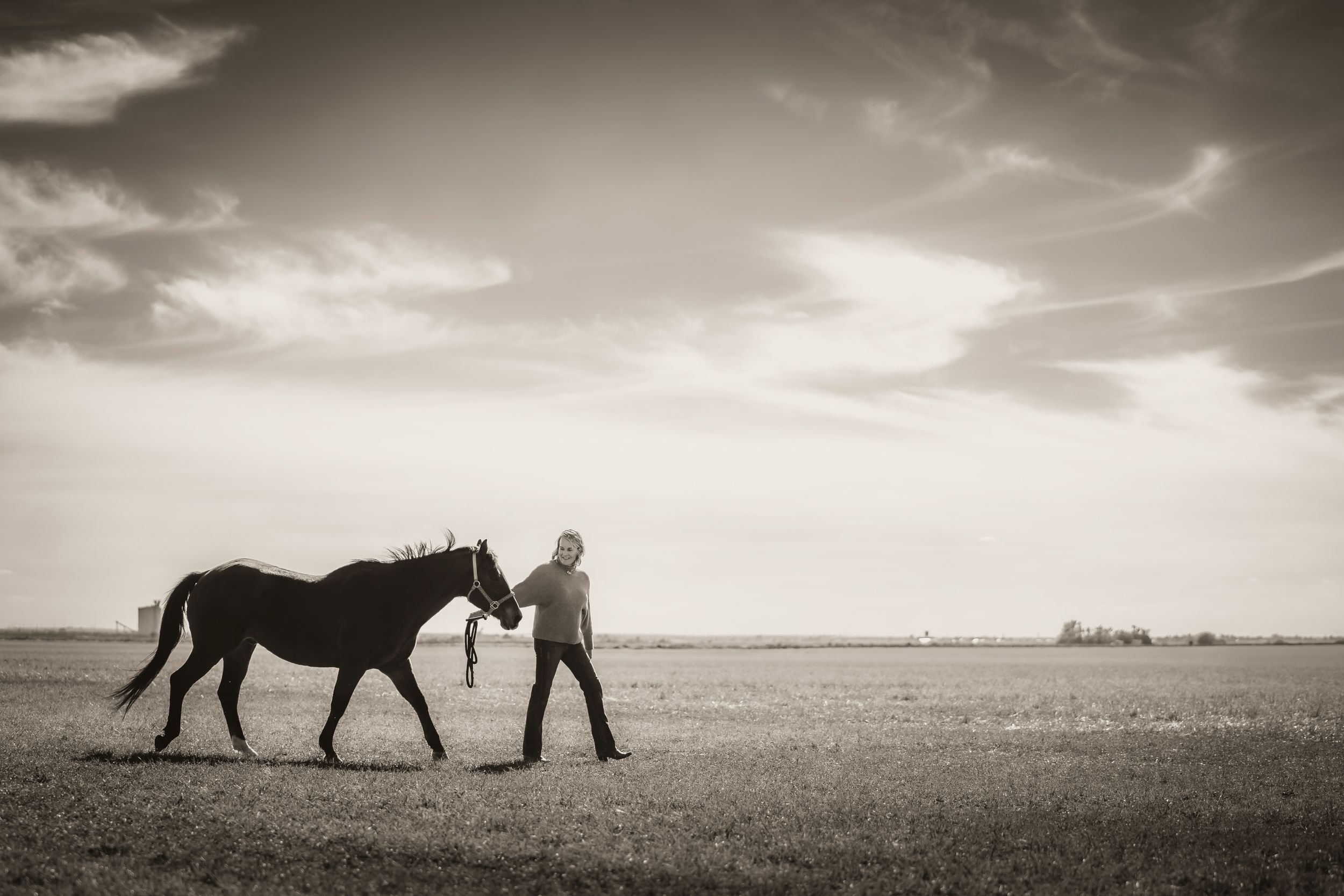 Altus Oklahoma horse family photoshoot session pet animal portrait eye, beautiful skies, open field, Lawton, Country Road OK
