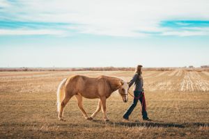 Altus Oklahoma horse family photoshoot session pet animal portrait eye, beautiful skies, open field, Lawton, Country Road OK