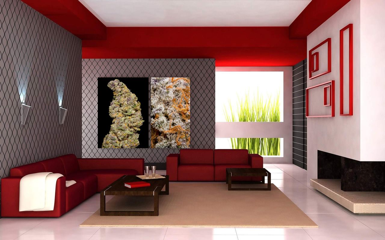CannaPrints.ca - Fine Art Cannabis Prints. Striking Metal Prints and Custom Wall Art