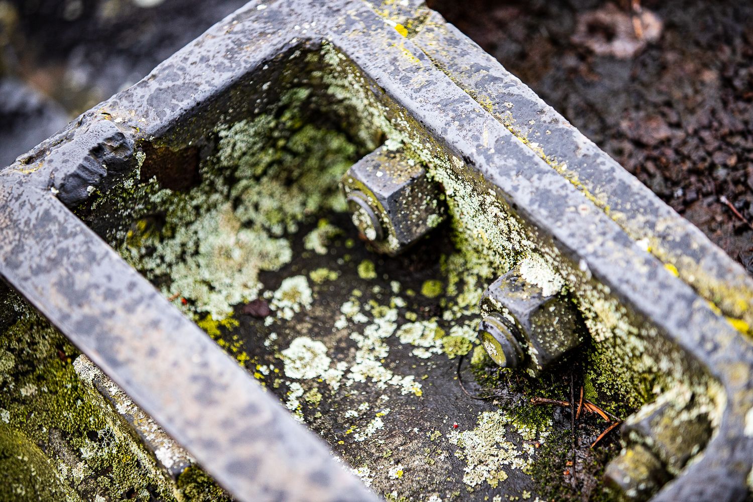 Industrial Photography Bolt with Algae from a Hulett Bucket