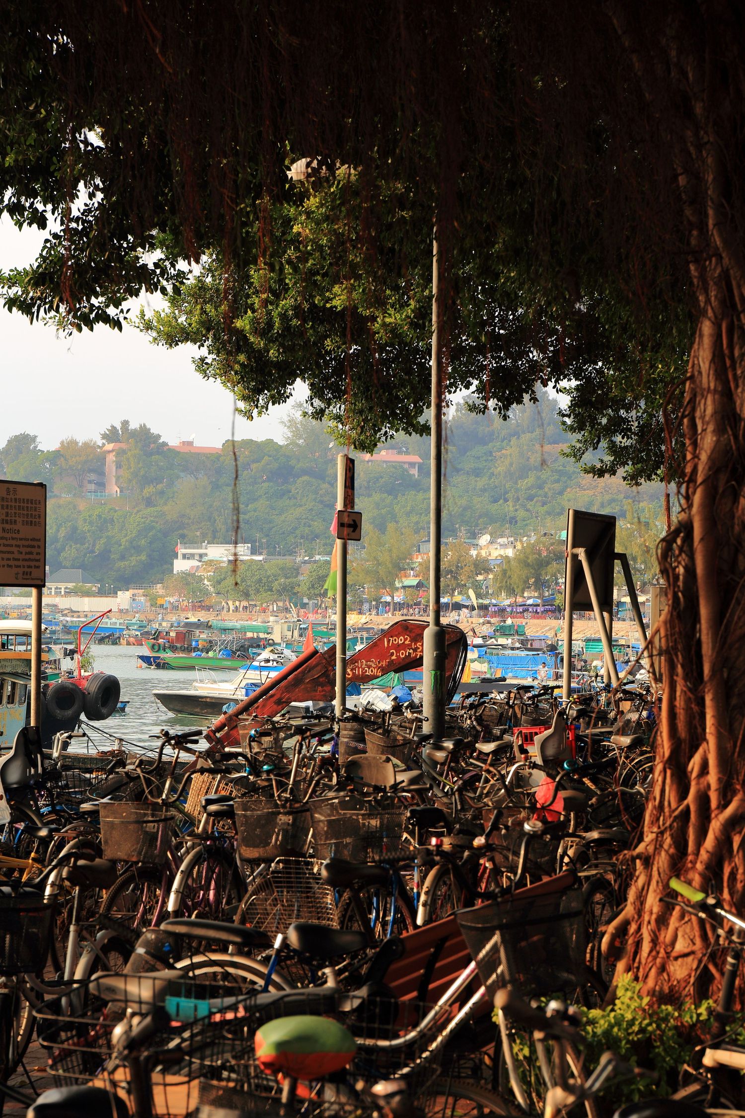 Cluster of parked bicycles near harbor with boats visible in background.