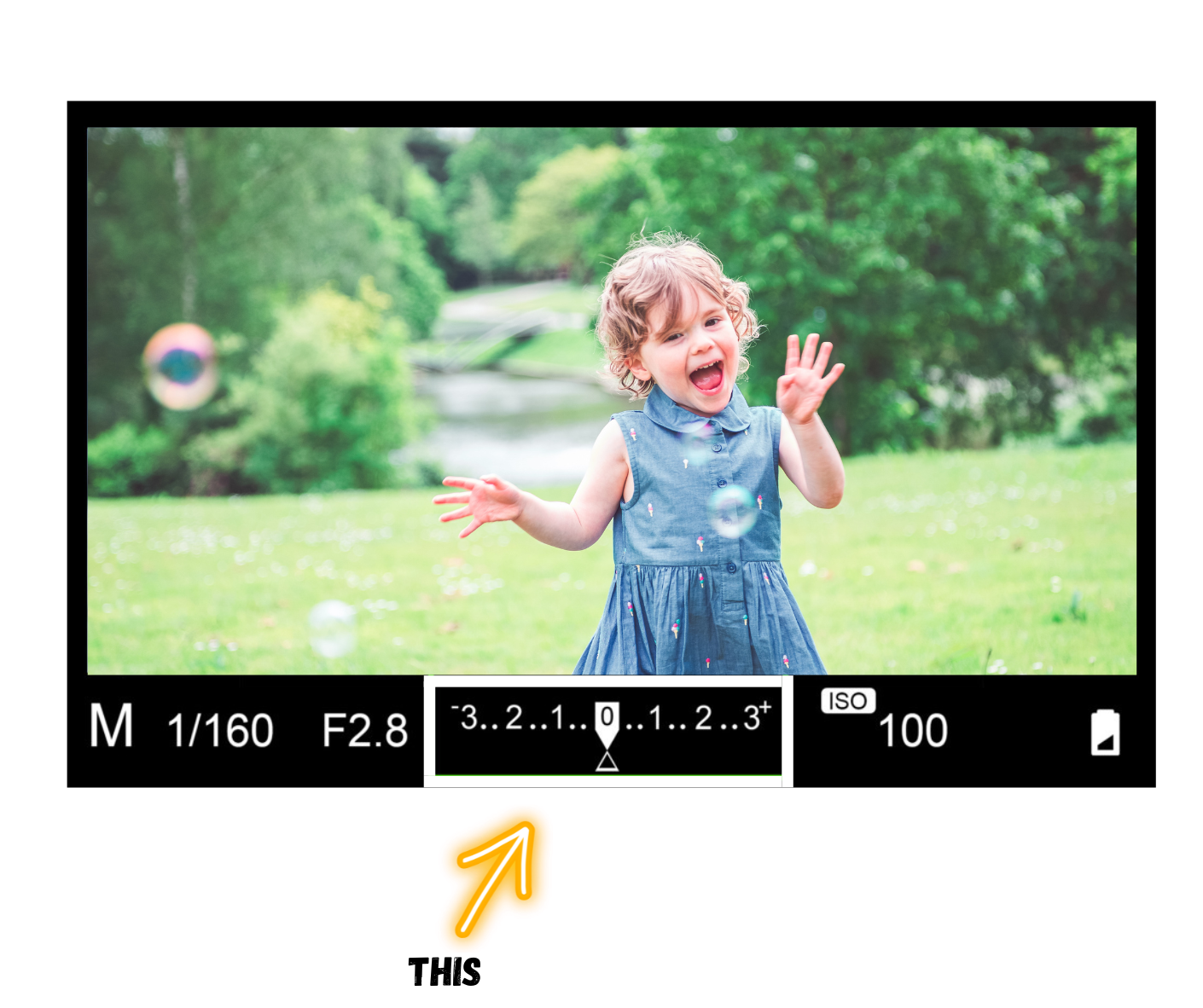 camera viewfinder light meter iso aperture f stop camera learn photography dslr