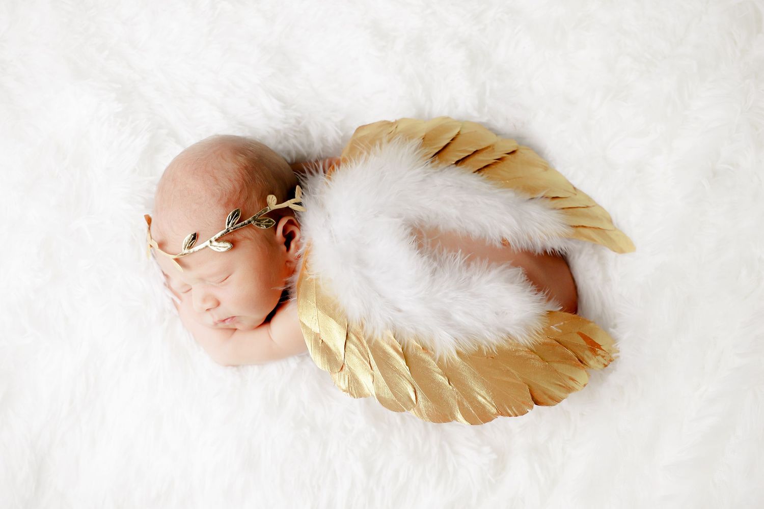 Northwest Arkansas Newborn Photographer