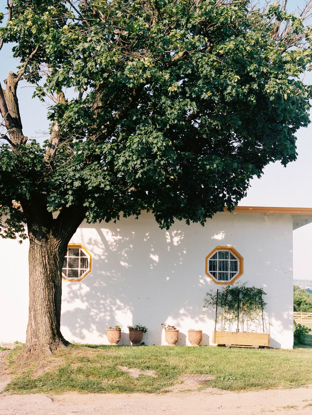 White stucco building with round windows and large tree casting shadows on sunny day.
