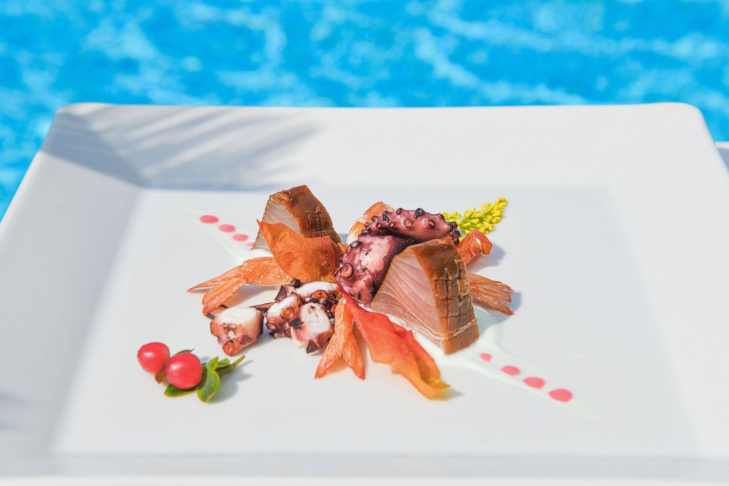 Fotografo Luigi Irace | Hotel Felix Ischia, foto Food service in piscina