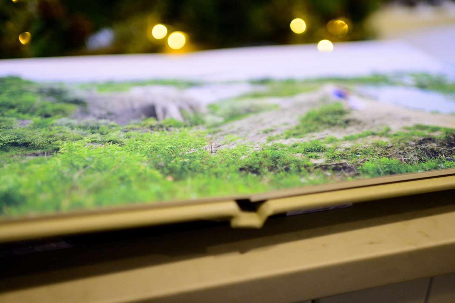 Spirits Intrigued Photography Fine Art Wedding Book Layflat No Seam Kitchener Waterloo 2021