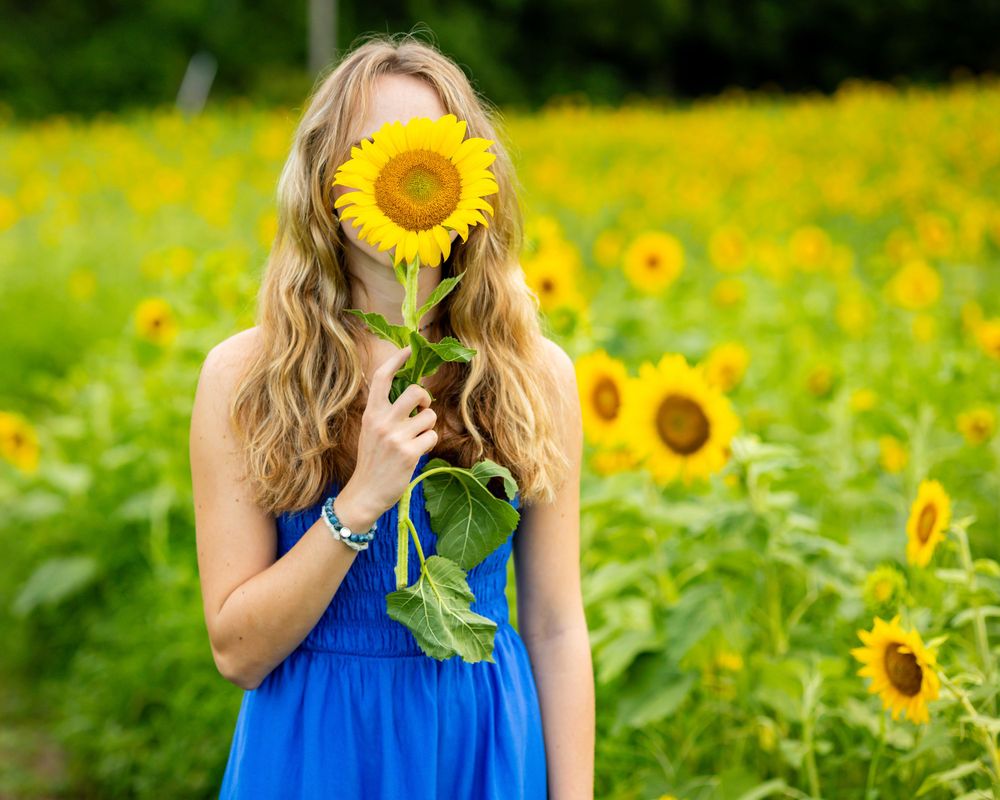 Person in blue dress playfully holds sunflower in front of face while standing in sunflower field.