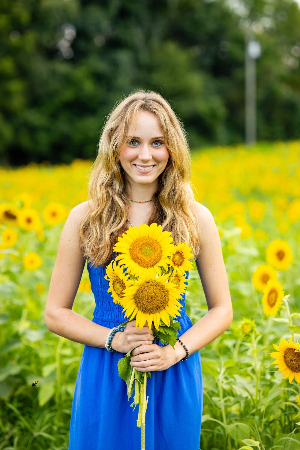 Woman in blue dress holding sunflowers stands in vibrant sunflower field on sunny day.