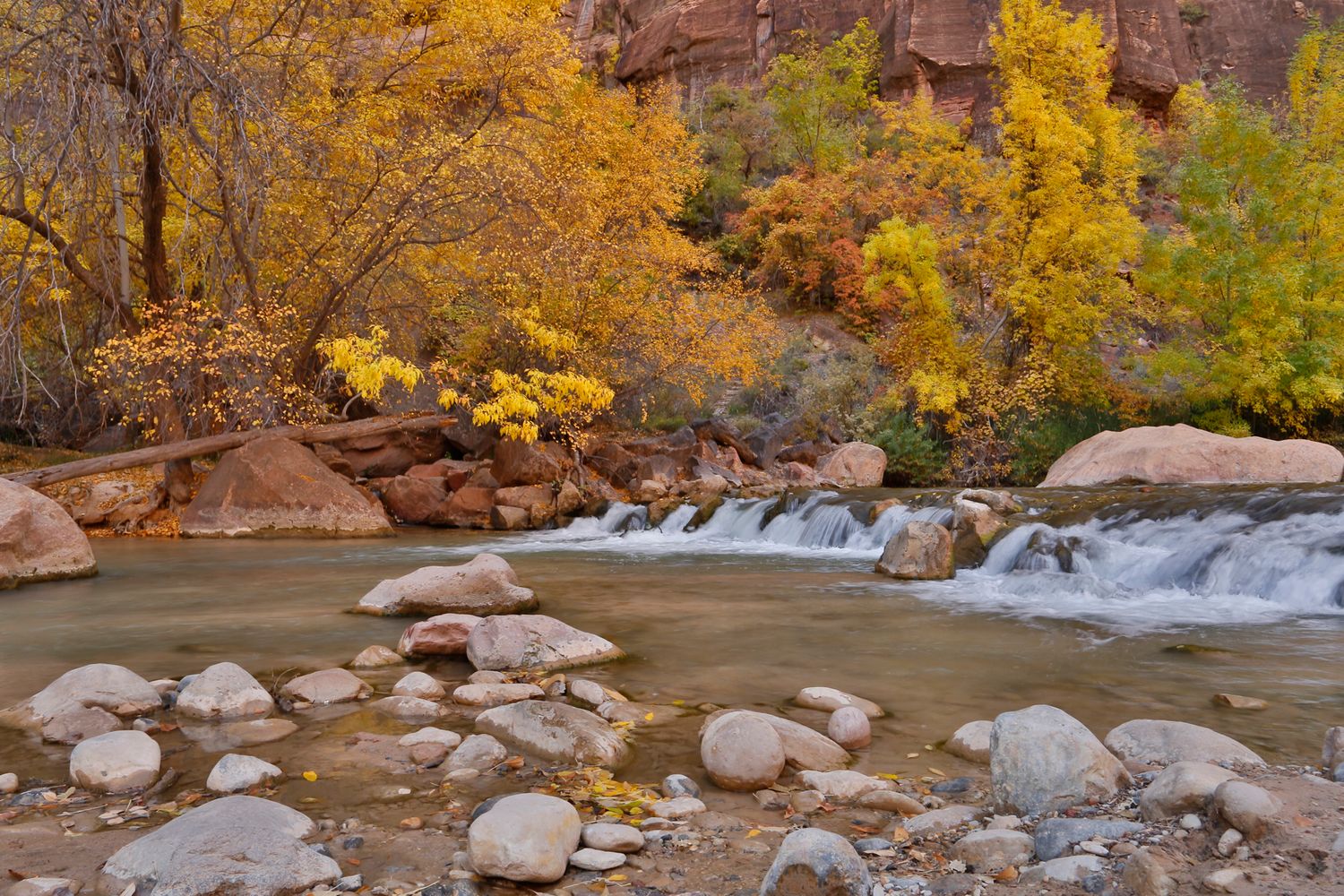 Fall Landscape Photo in Zion National Park Utah with waterfall