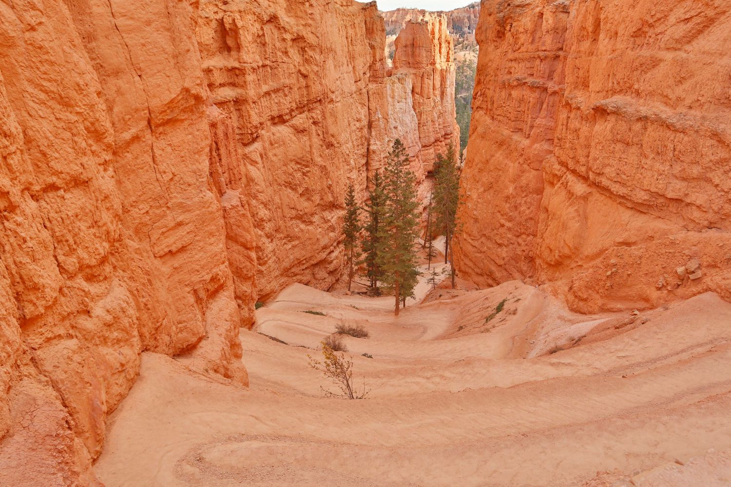 Bryce Canyon Utah photo of trail