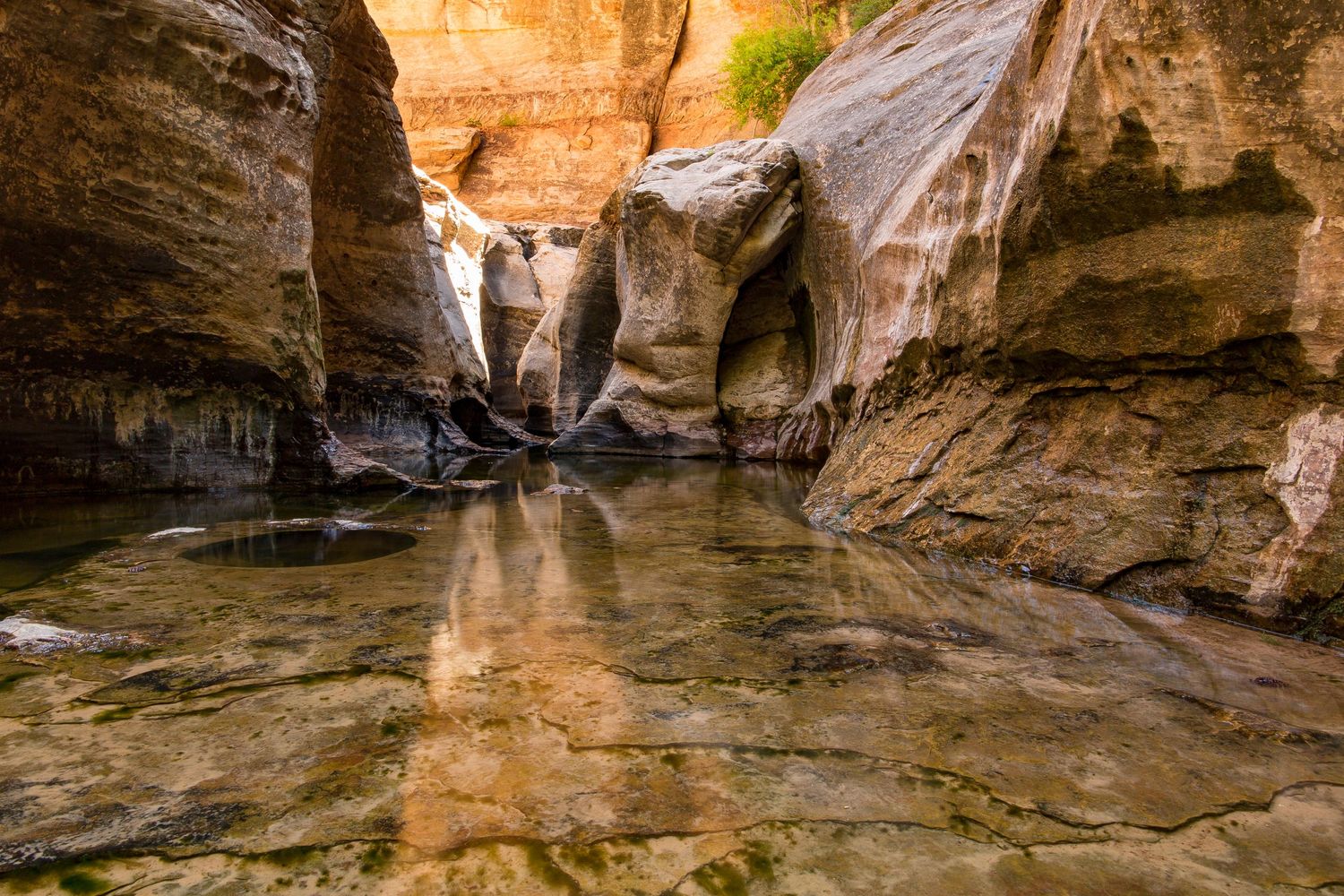Southern utah hike with water