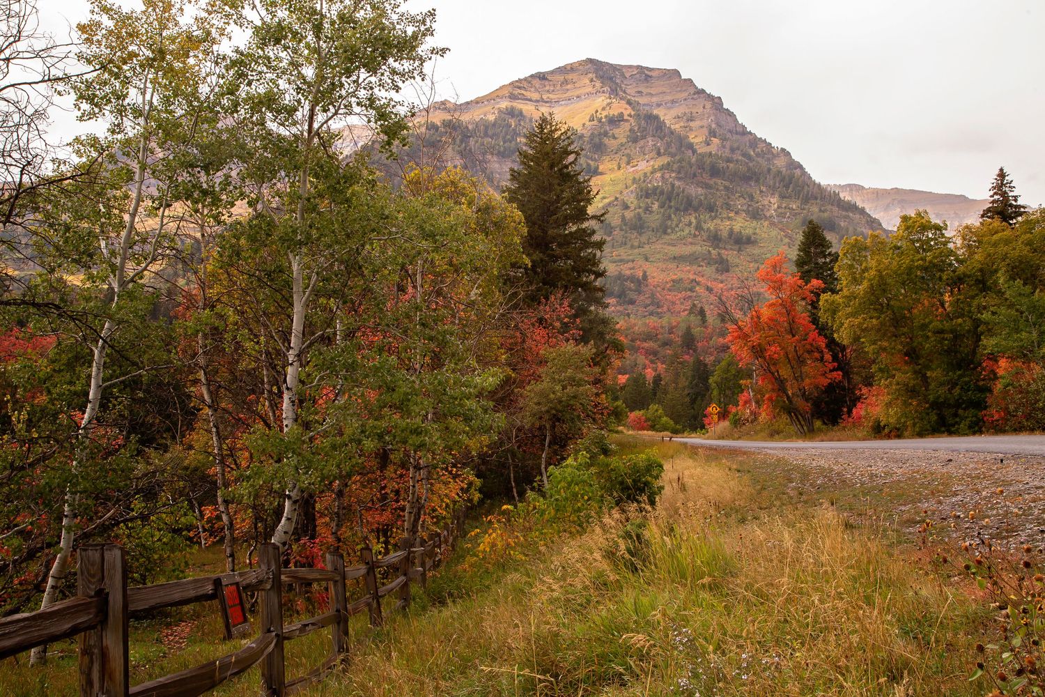 Fall on Alpine Loop Utah