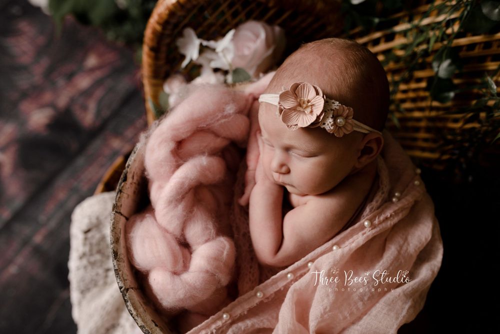 newborn baby girl, northumberland newborn photographer quinte west trento brighton ontario baby boy newborn photography