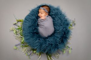 Sleeping newborn wrapped in gray swaddle on blue furry nest with greenery.