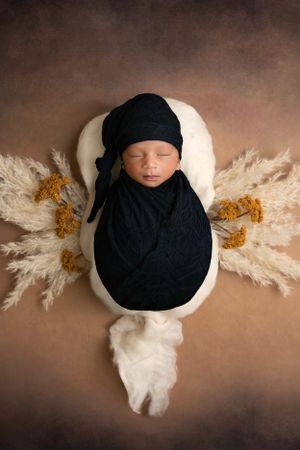 Creative newborn butterfly posing and editing by Cedar Park TX Newborn Photographer Pamela Clark