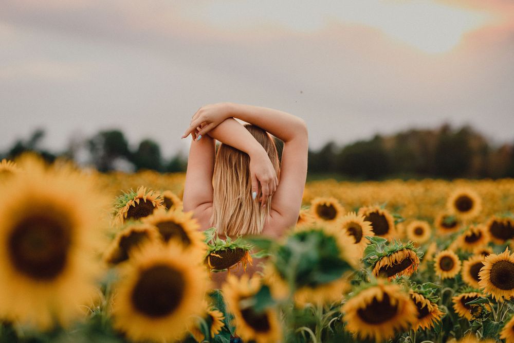 Hand reaching out to touch a bright yellow sunflower in a summer field.